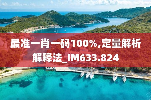 最准一肖一码100%,定量解析解释法_IM633.824