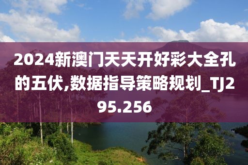2024新澳门天天开好彩大全孔的五伏,数据指导策略规划_TJ295.256