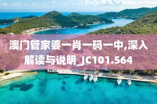 澳门管家婆一肖一码一中,深入解读与说明_JC101.564