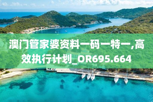 澳门管家婆资料一码一特一,高效执行计划_OR695.664