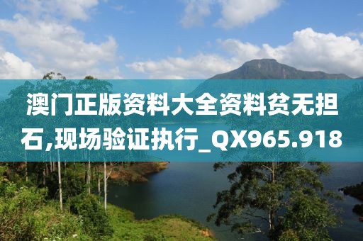 澳门正版资料大全资料贫无担石,现场验证执行_QX965.918