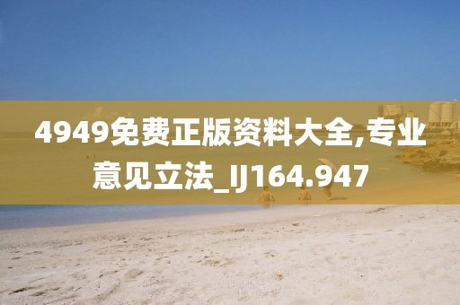 4949免费正版资料大全,专业意见立法_IJ164.947