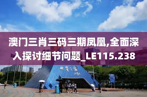 澳门三肖三码三期凤凰,全面深入探讨细节问题_LE115.238