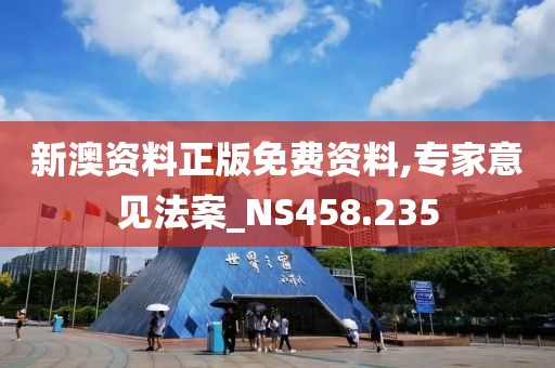 新澳资料正版免费资料,专家意见法案_NS458.235