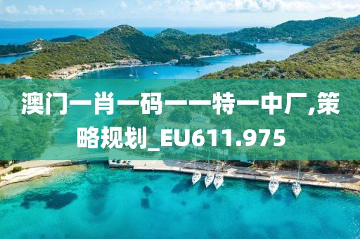 澳门一肖一码一一特一中厂,策略规划_EU611.975