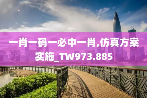 一肖一码一必中一肖,仿真方案实施_TW973.885