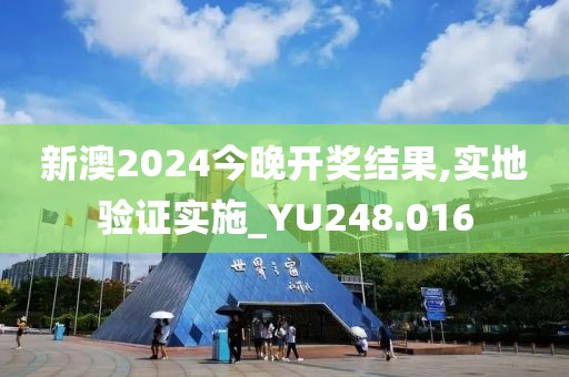 新澳2024今晚开奖结果,实地验证实施_YU248.016