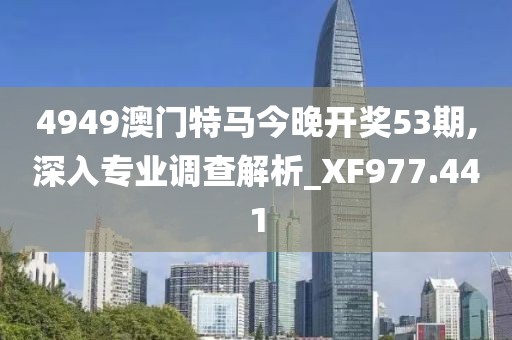 4949澳门特马今晚开奖53期,深入专业调查解析_XF977.441