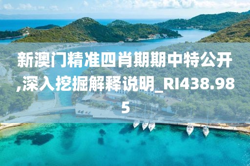 新澳门精准四肖期期中特公开,深入挖掘解释说明_RI438.985