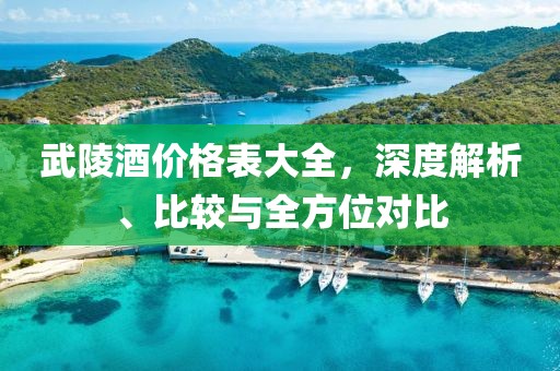 武陵酒价格表大全，深度解析、比较与全方位对比