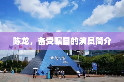 陈龙，备受瞩目的演员简介