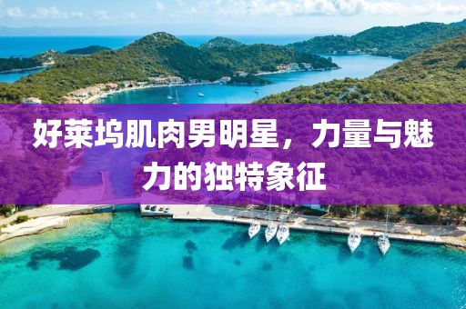 好莱坞肌肉男明星，力量与魅力的独特象征