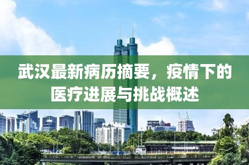 武汉最新病历摘要，疫情下的医疗进展与挑战概述