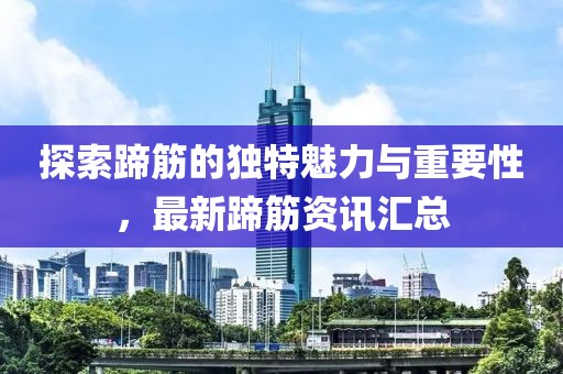 探索蹄筋的独特魅力与重要性，最新蹄筋资讯汇总