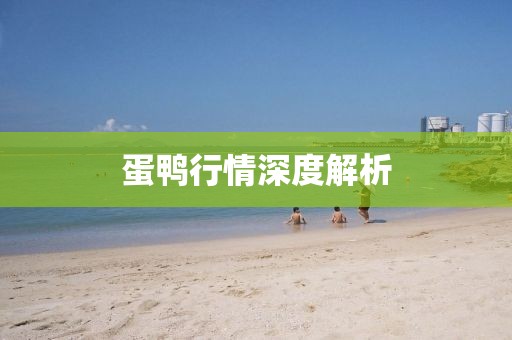 蛋鸭行情深度解析