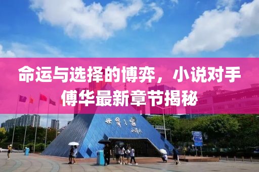 命运与选择的博弈，小说对手傅华最新章节揭秘