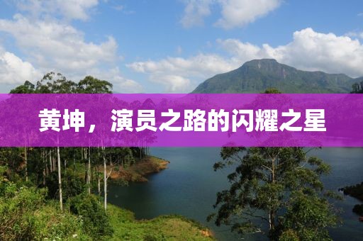 止咳糖浆 第22页