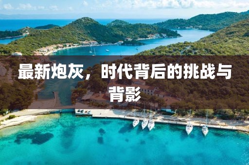最新炮灰，时代背后的挑战与背影