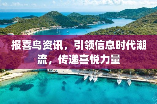 报喜鸟资讯，引领信息时代潮流，传递喜悦力量