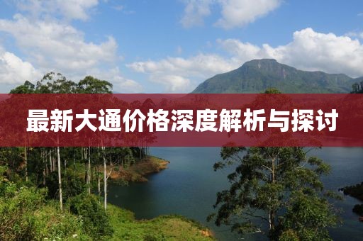 最新大通价格深度解析与探讨