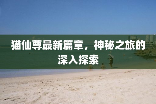 猫仙尊最新篇章，神秘之旅的深入探索
