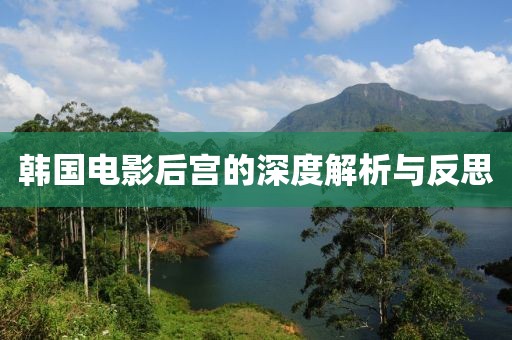 韩国电影后宫的深度解析与反思