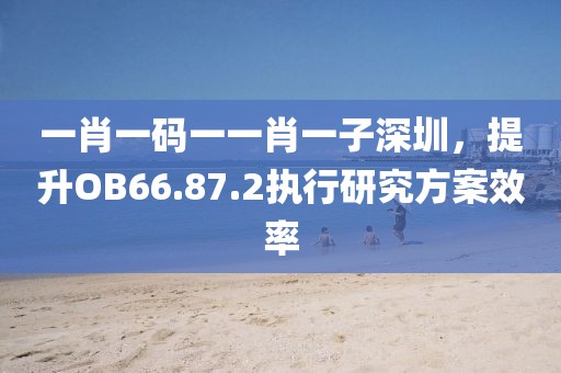 一肖一码一一肖一子深圳，提升OB66.87.2执行研究方案效率