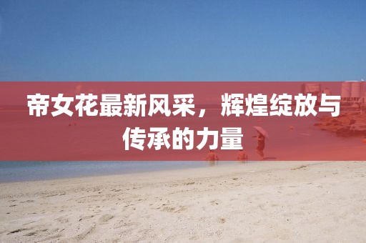 帝女花最新风采，辉煌绽放与传承的力量