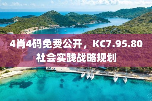 4肖4码免费公开，KC7.95.80社会实践战略规划