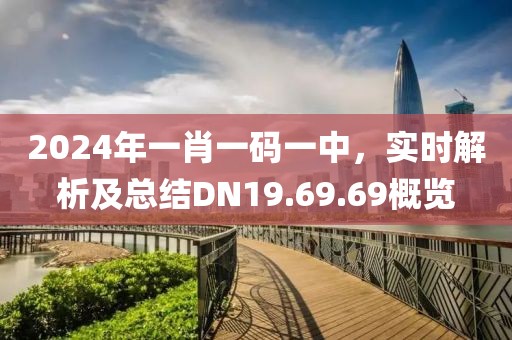2024年一肖一码一中，实时解析及总结DN19.69.69概览