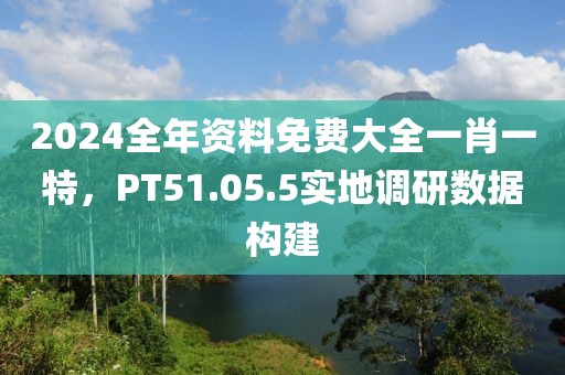 2024全年资料免费大全一肖一特，PT51.05.5实地调研数据构建