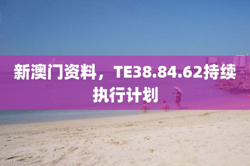新澳门资料，TE38.84.62持续执行计划