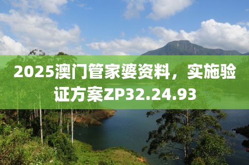 2025澳门管家婆资料，实施验证方案ZP32.24.93
