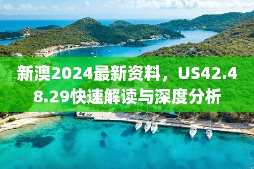 新澳2024最新资料，US42.48.29快速解读与深度分析