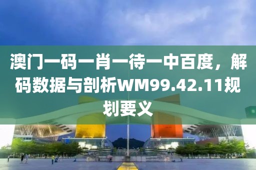 澳门一码一肖一待一中百度，解码数据与剖析WM99.42.11规划要义