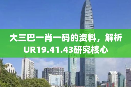 大三巴一肖一码的资料，解析UR19.41.43研究核心