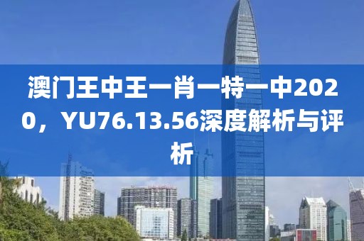 澳门王中王一肖一特一中2020，YU76.13.56深度解析与评析
