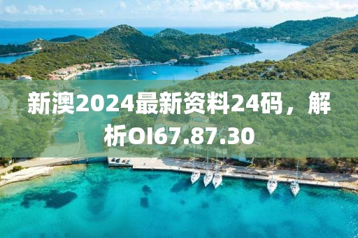 新澳2024最新资料24码，解析OI67.87.30