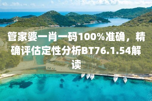 管家婆一肖一码100%准确，精确评估定性分析BT76.1.54解读