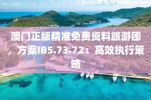 澳门正版精准免费资料旅游团，方案IB5.73.72：高效执行策略
