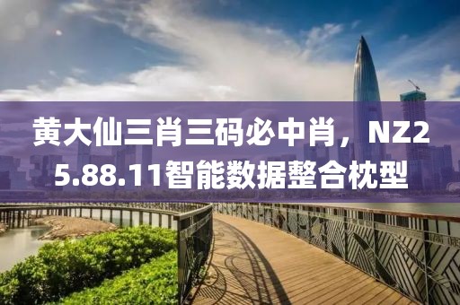 黄大仙三肖三码必中肖，NZ25.88.11智能数据整合枕型
