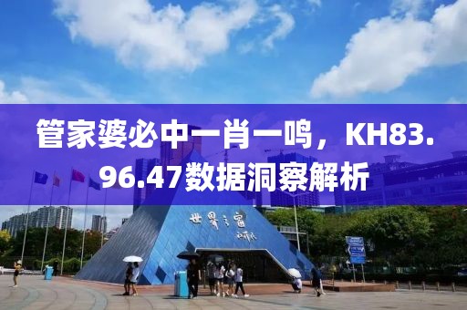 管家婆必中一肖一鸣，KH83.96.47数据洞察解析
