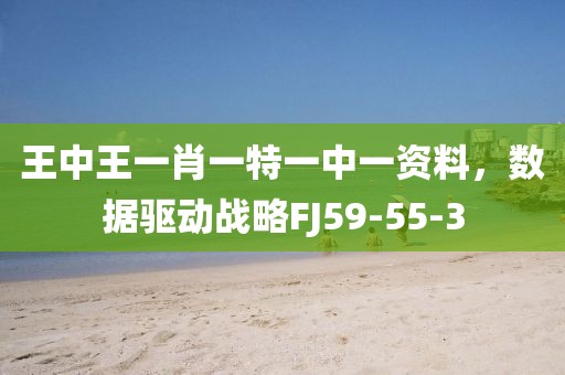 王中王一肖一特一中一资料，数据驱动战略FJ59-55-3