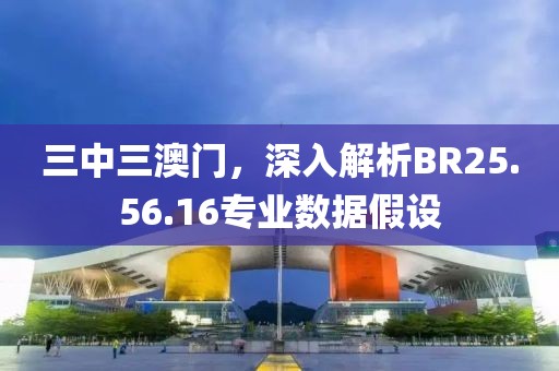 三中三澳门，深入解析BR25.56.16专业数据假设