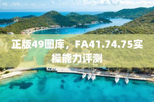 正版49图库，FA41.74.75实操能力评测