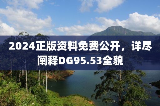2024正版资料免费公开，详尽阐释DG95.53全貌
