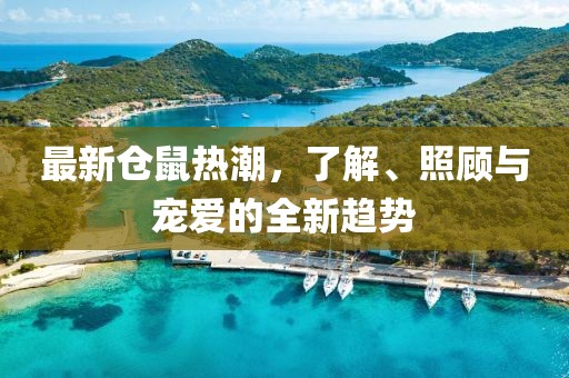 最新仓鼠热潮，了解、照顾与宠爱的全新趋势
