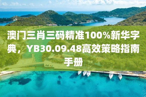 澳门三肖三码精准100%新华字典，YB30.09.48高效策略指南手册