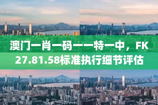 澳门一肖一码一一特一中，FK27.81.58标准执行细节评估