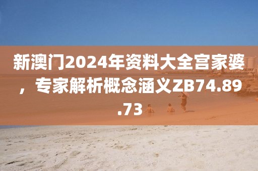 新澳门2024年资料大全宫家婆，专家解析概念涵义ZB74.89.73